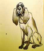 old_dog_final copy.jpg